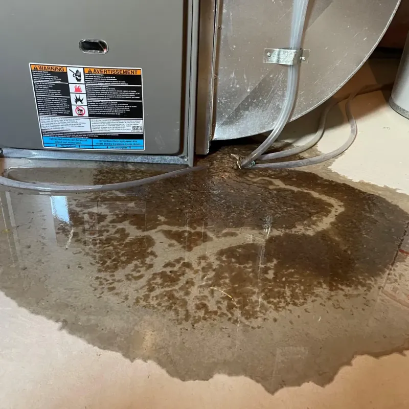 Appliance Leak Cleanup in Weber County, UT