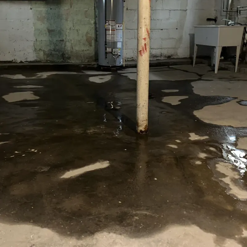 Emergency Water Extraction And Removal in Weber County, UT
